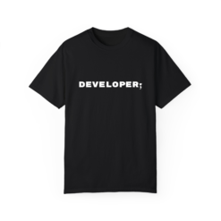 Developer