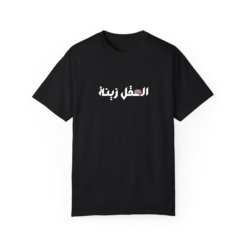 العقل زينة